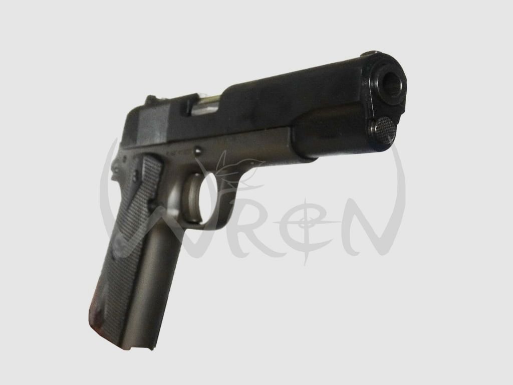 45 ACP pistol RIA GI ENTRY FS., image 8 of 12