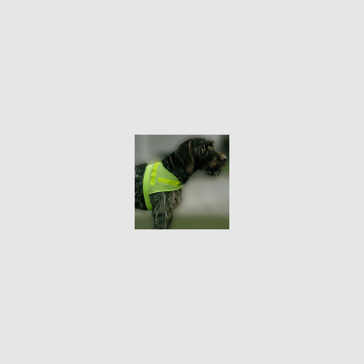 Hunde-Sicherheitsweste "Scotchlite"