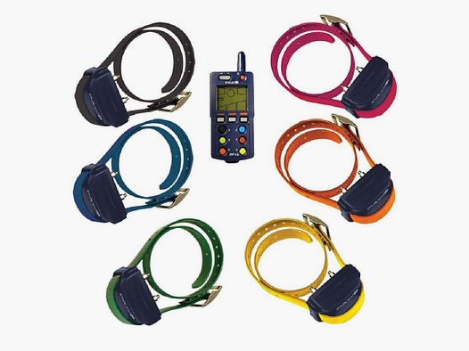 PAC DOG COLLARE EXT 3000 MT 2 CANI
