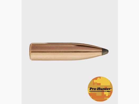 PALLE SIERRA 6MM 100 GR SPITZER PRO-HUNTER