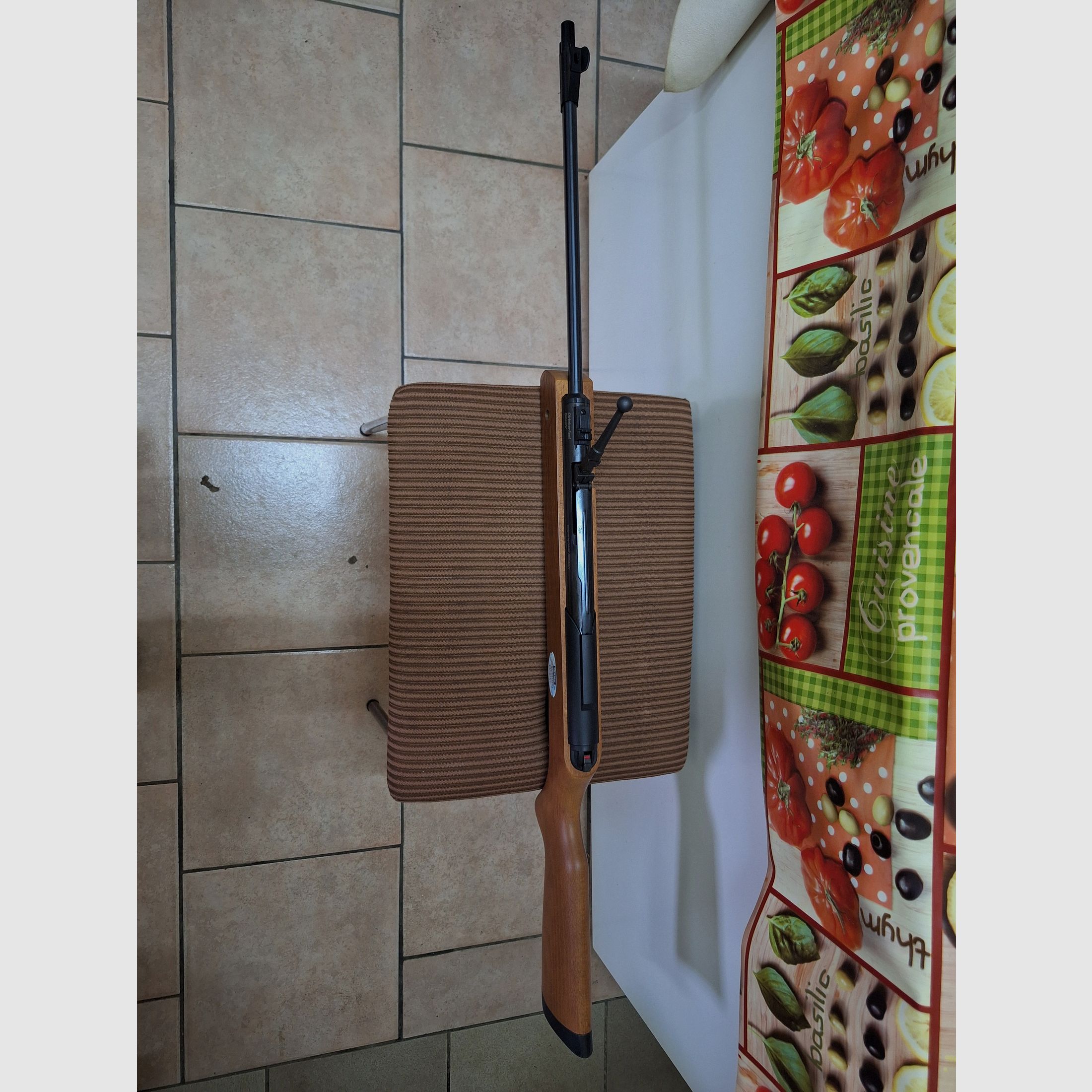 Fusil à air comprimé Diana Oktoberfest