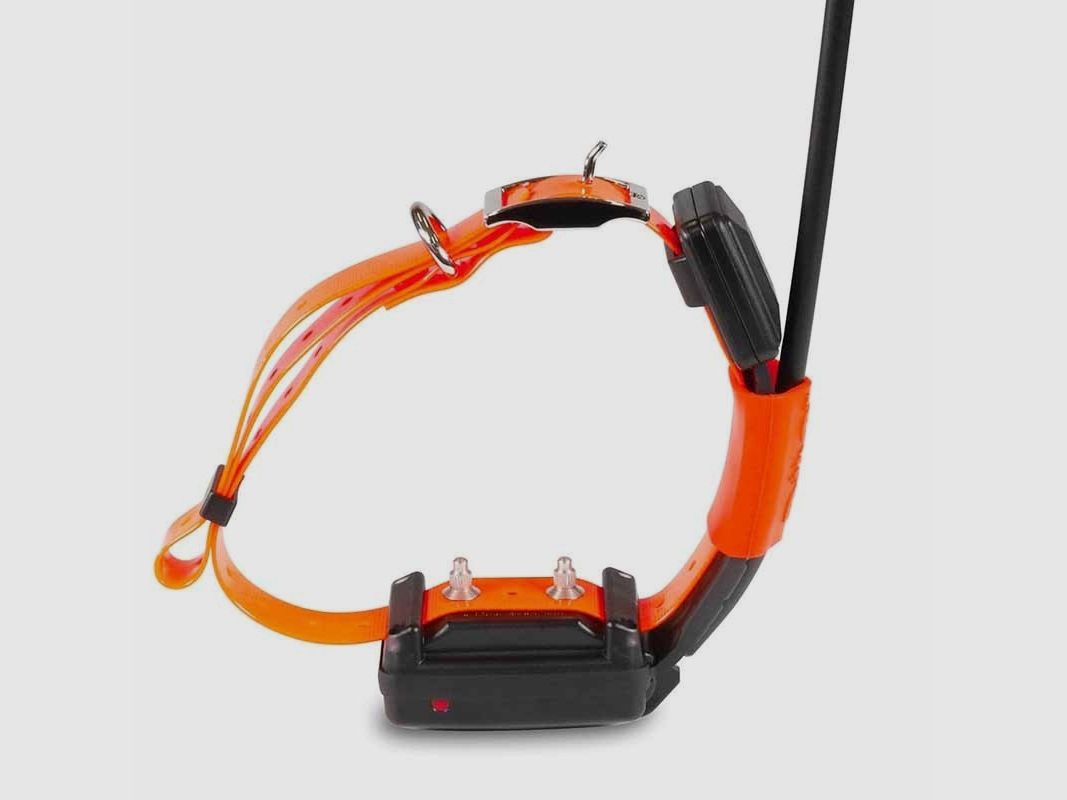 Zusätzlicher Kragen kurz Gps Dogtrace X25-t inklusive Ladegerät, Bild 2 von 3