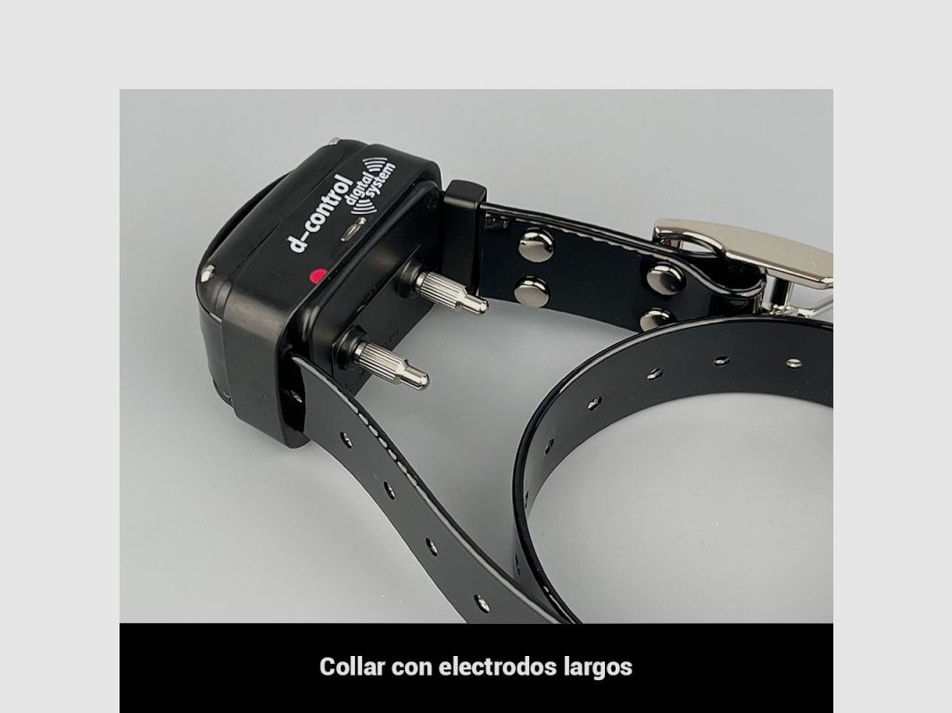 Dogtrace 600 Pulsar, Bild 11 von 24