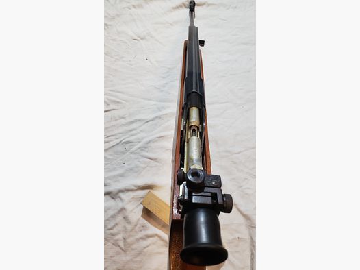 Mlg 550 Luftgewehr 