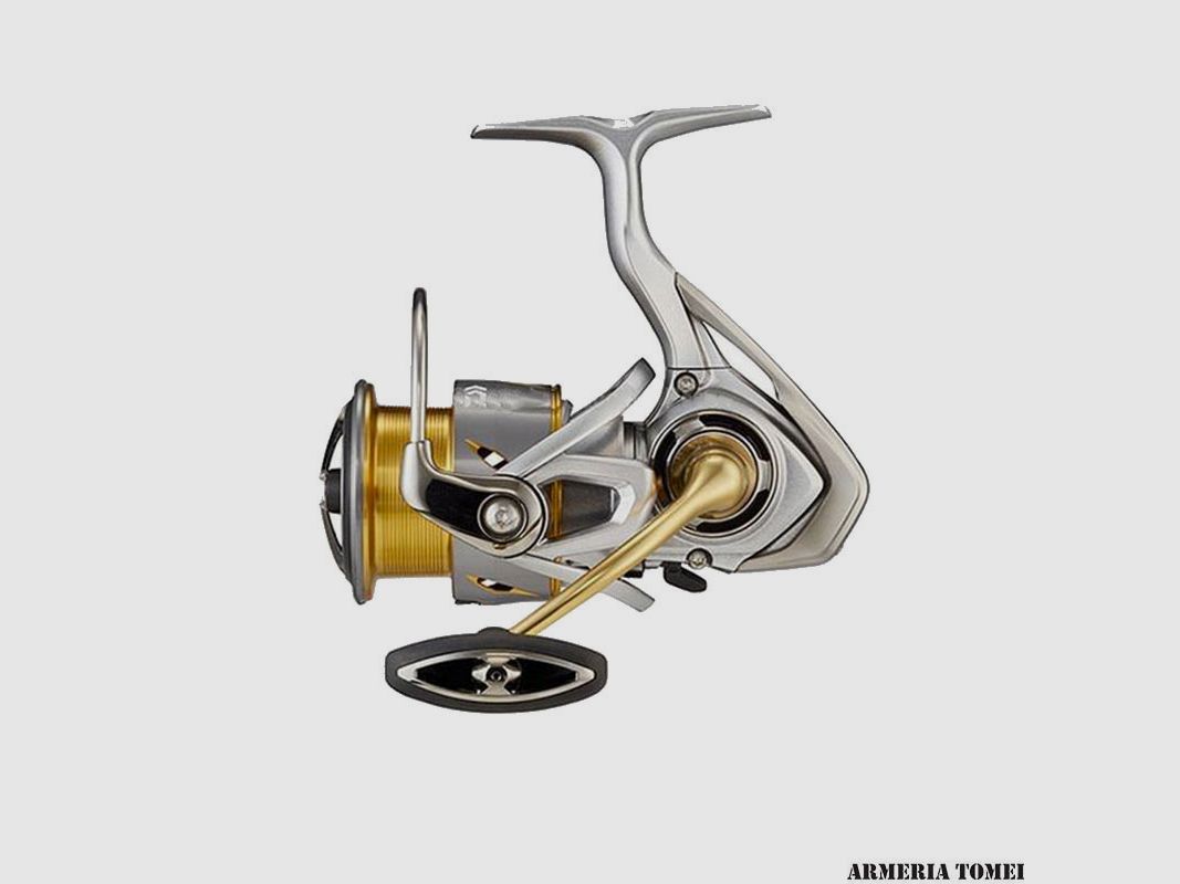 MULINELLO – DAIWA – FREAMS LT 3000-XH