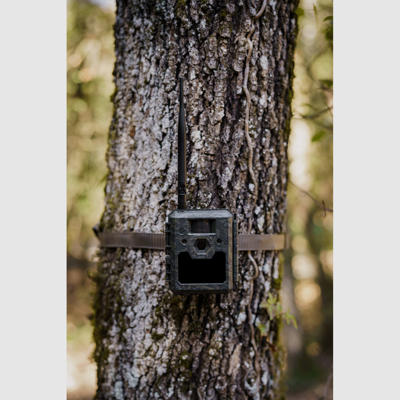 FOTOTRAPPOLA – ICU CLOM CAM5 – 4G/LTE – Batterie e SD incluse, immagine 9 di 11