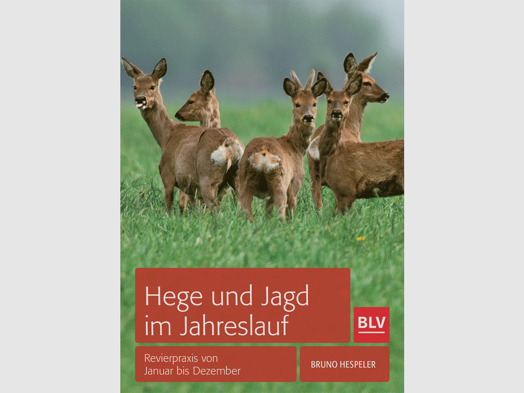 Libro "Gestione della fauna selvatica e caccia durante l'anno"