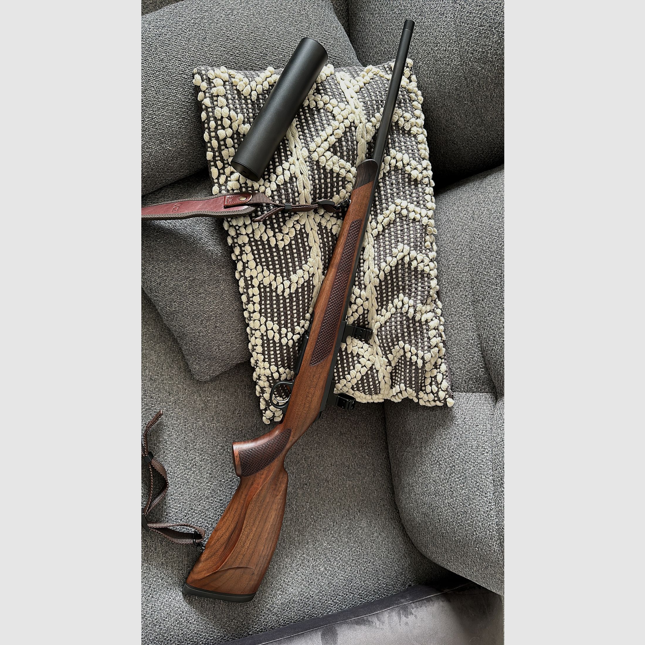 Cz 600 Lux im Kaliber 223 mit Schalldämpfer, Montage und Meopta 4,5-27