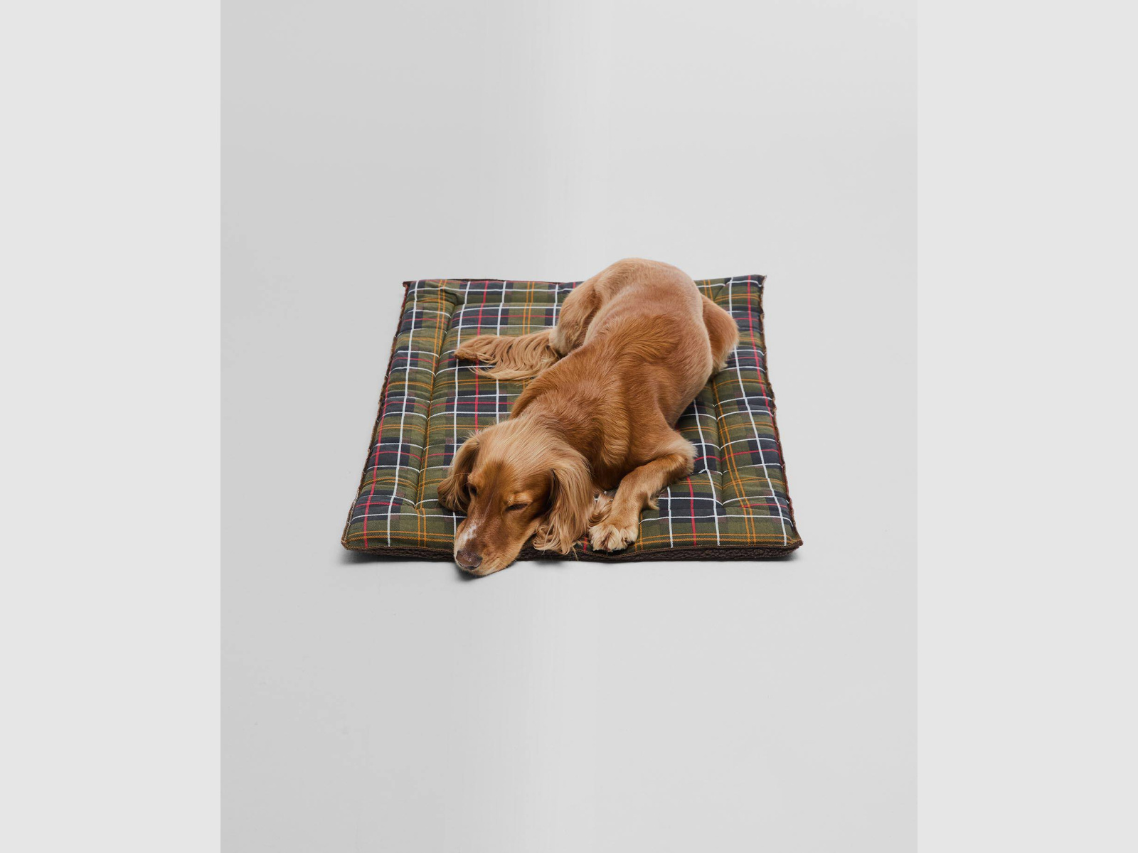 BARBOUR Cage Mattress LRG Classic Tartan
