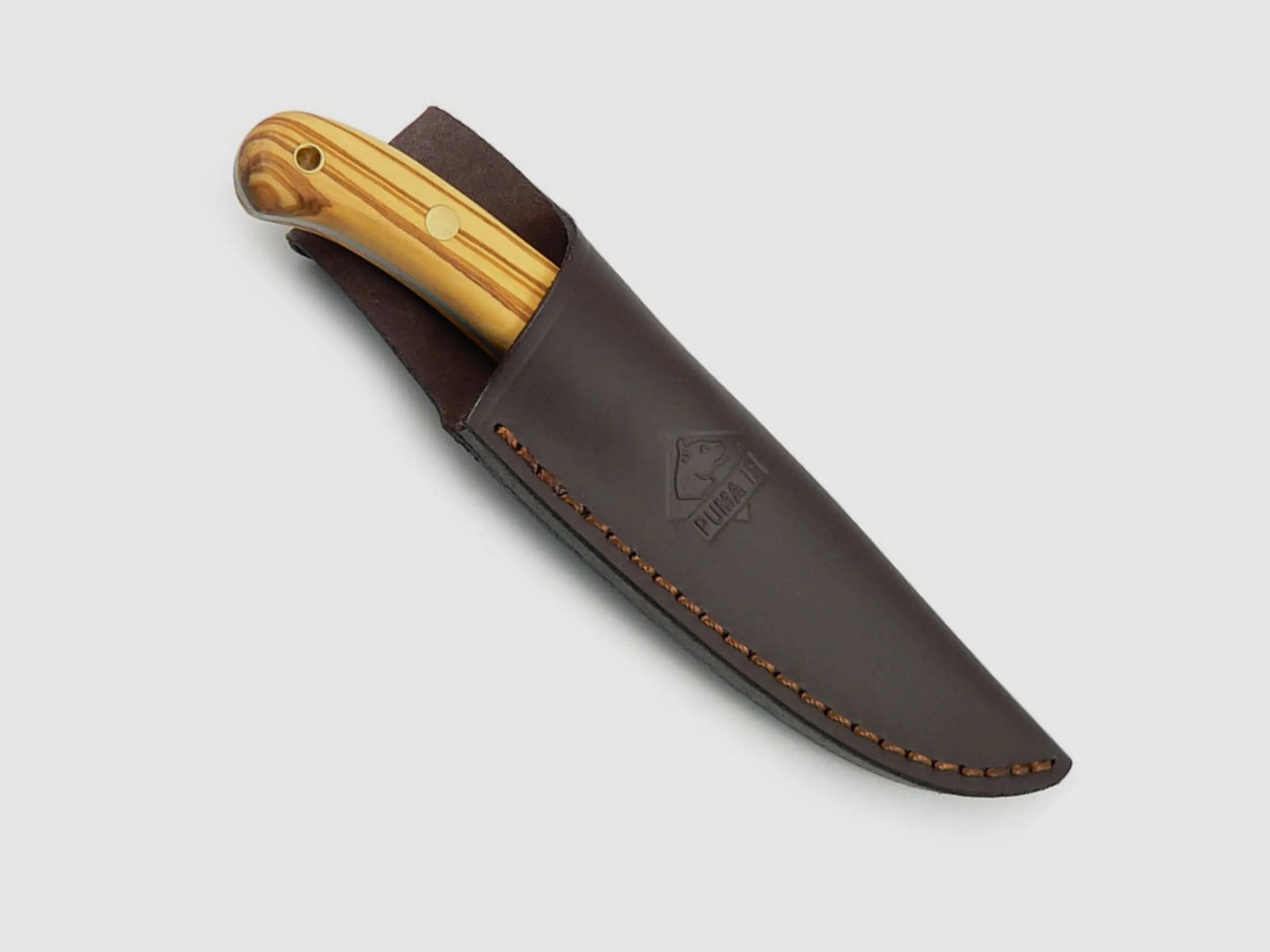 PUMA IP catamount, oliva