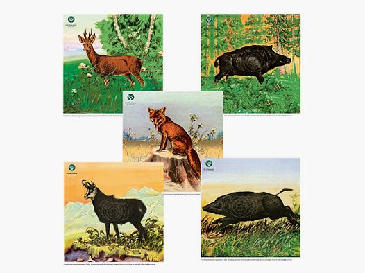 DJV-Luftgewehrscheibe Set Nr. 1-5 (10m, 5 Motive, 100 Stück)