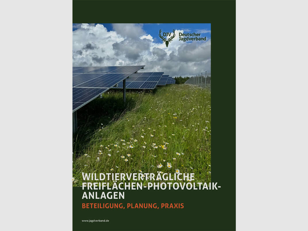 Broschüre „Wildtierverträgliche Freiflächen-Photovoltaik-Anlagen“