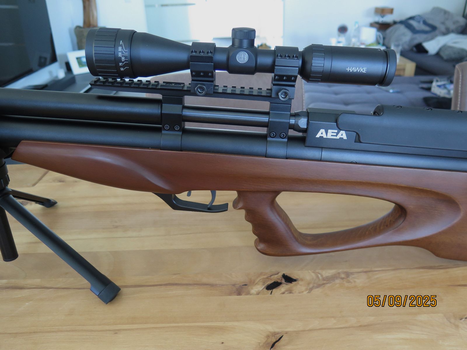 AEA Challenger mit Zielfernrohr und Schalldämpfer Exportkit
