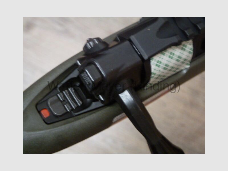 Chasseur de HOG Sauvage