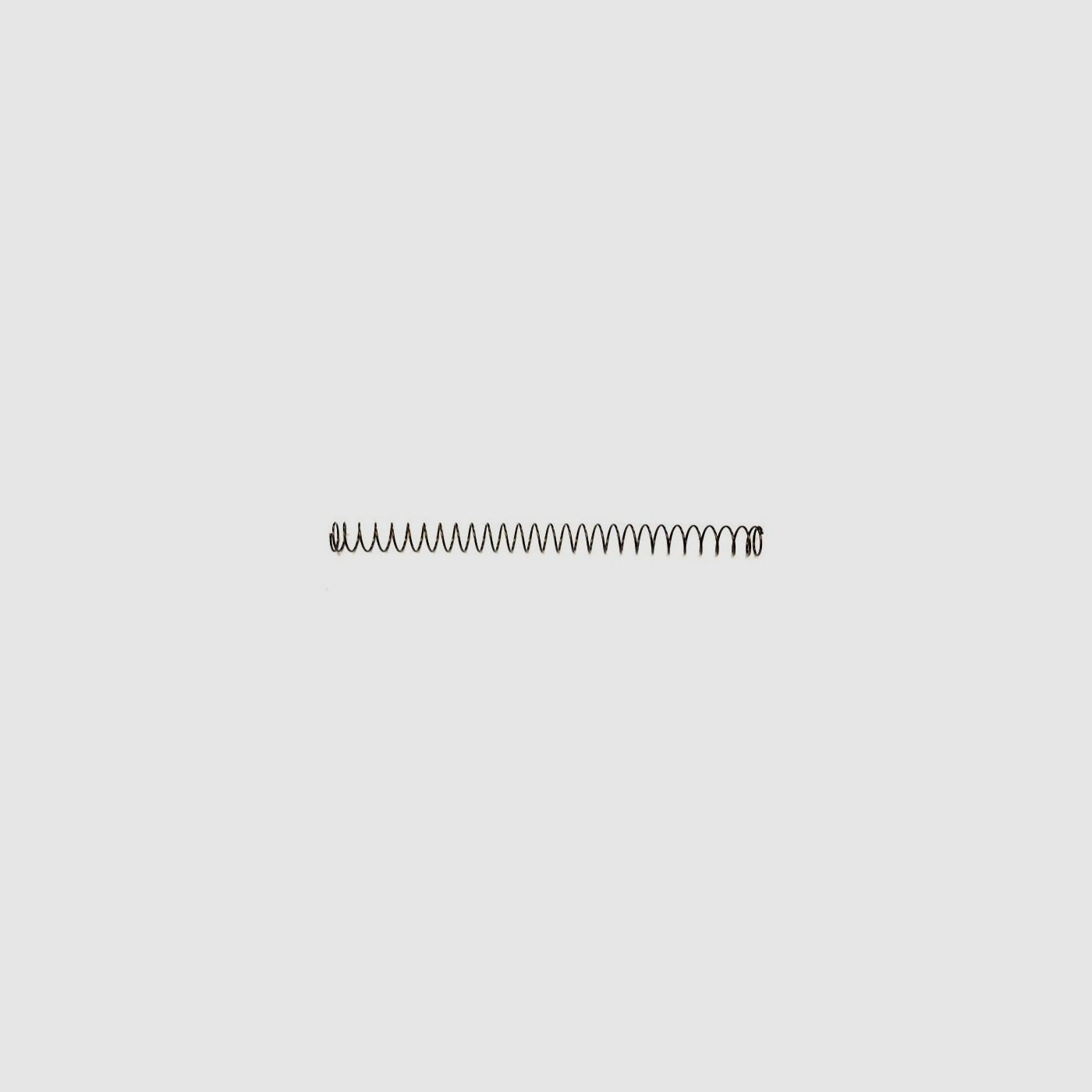 RUGER P95 Recoil Spring Inner