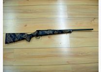 Sauer 100
