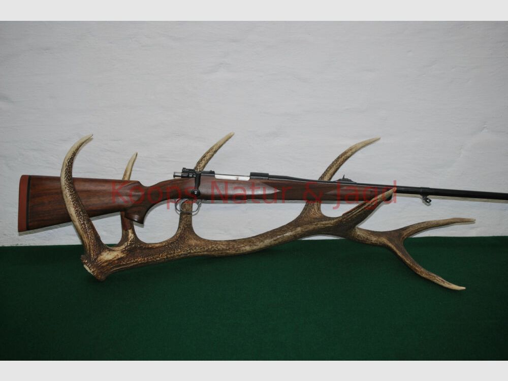 Klaus Koops 98 DWM-systeem