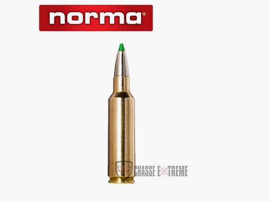 20 Munitions NORMA Ctg cal 300 Wsm 165gr Ecostrike