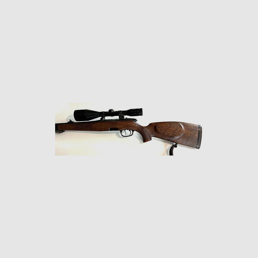 Steyr M Goiserer