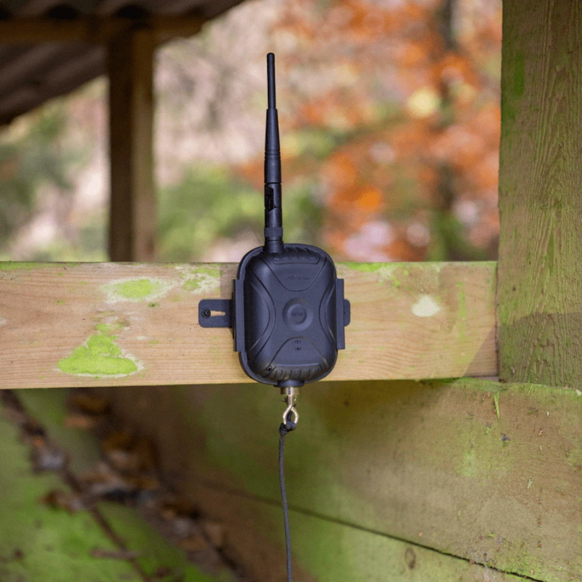 Uovision Live LTA Trap Alarm 4G, immagine 2 di 2
