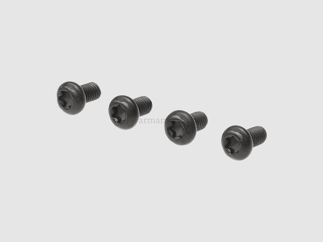 VITI DI MONTAGGIO HOLOSUN 4 PZ CORTO, immagine 1 di 2