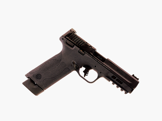 Sw mp 22x 22lr