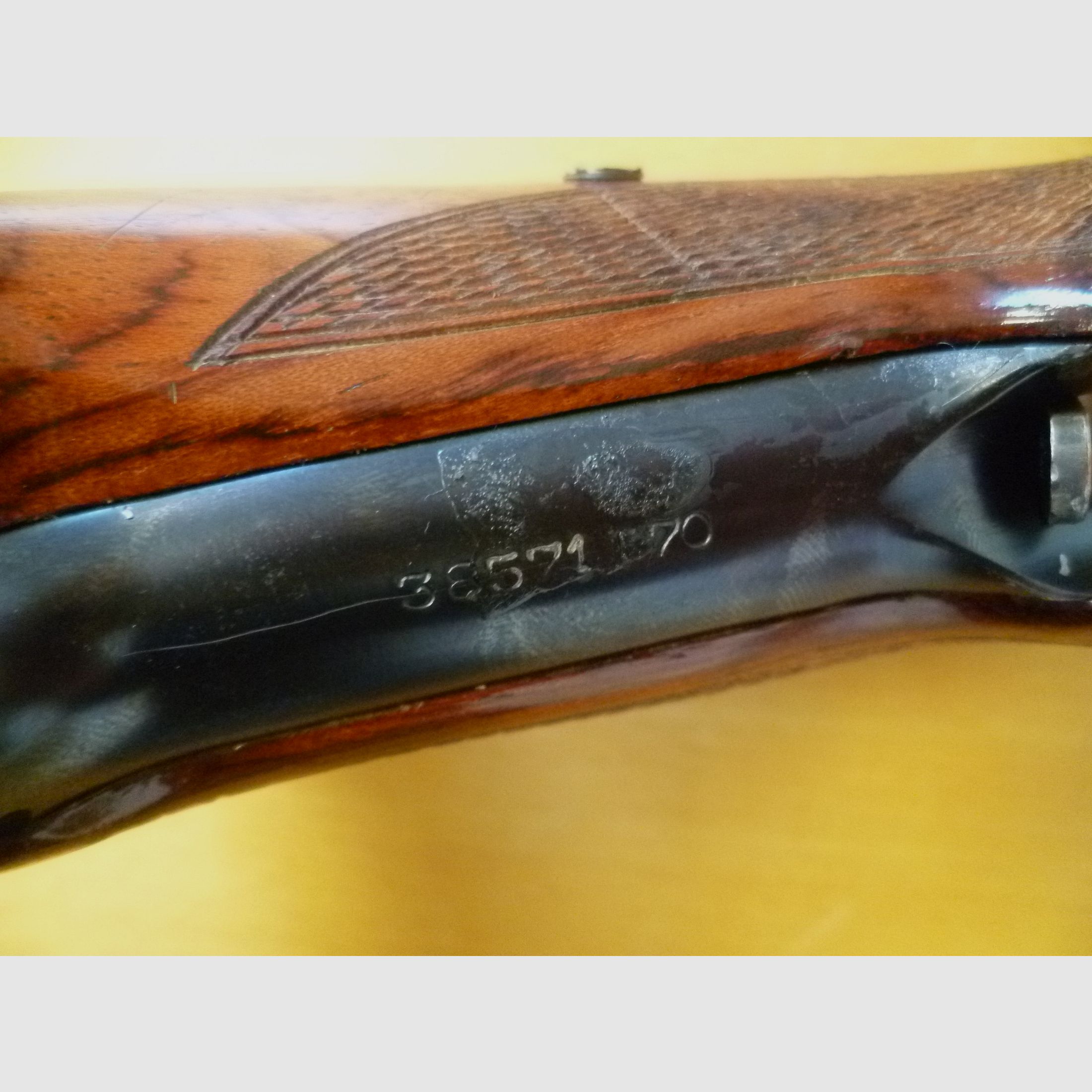 Sport pistol FN 150 Match .22lr.