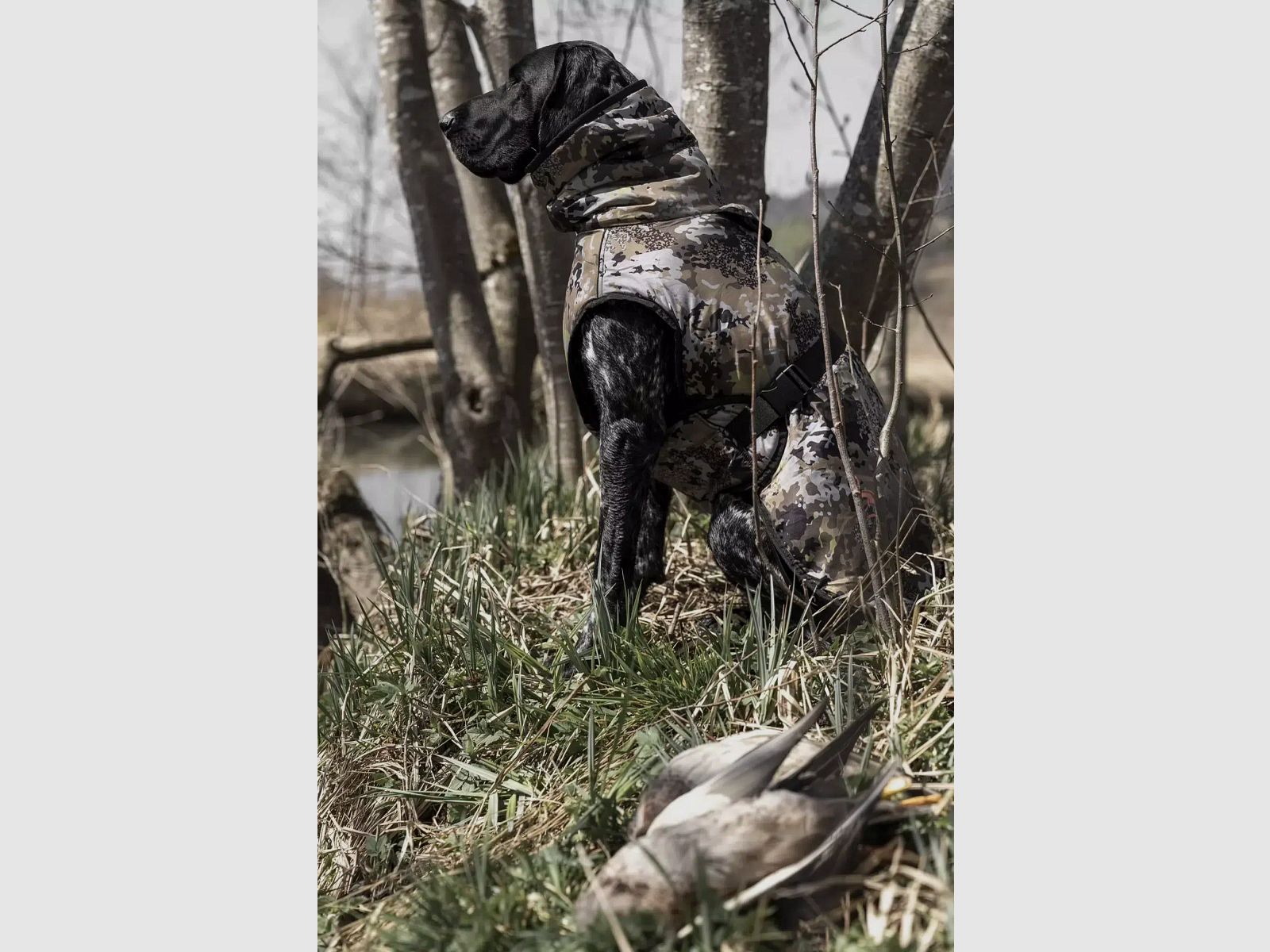 Blaser Hundeponcho HunTec Camo