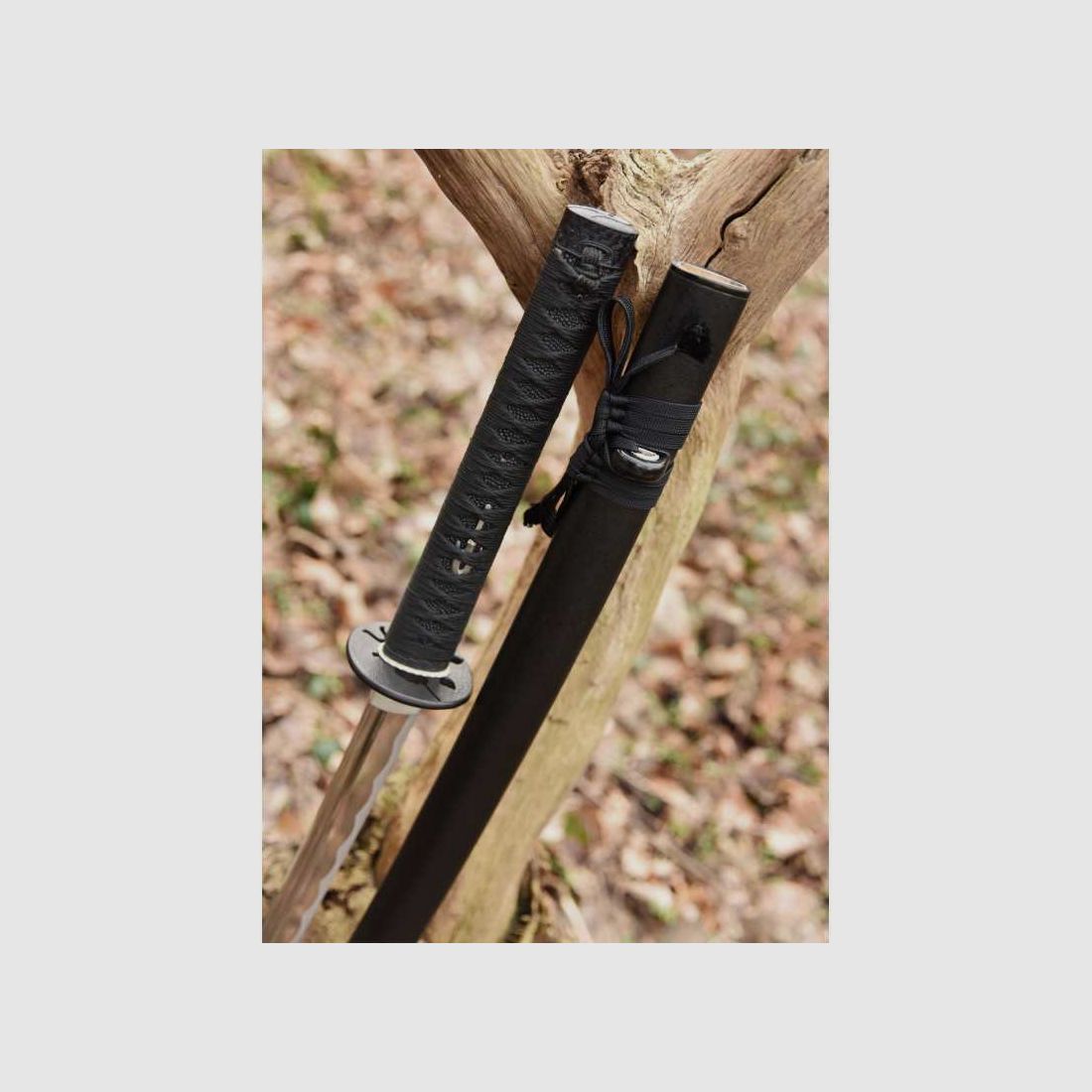 Dragon King Night Owl Katana Schwert