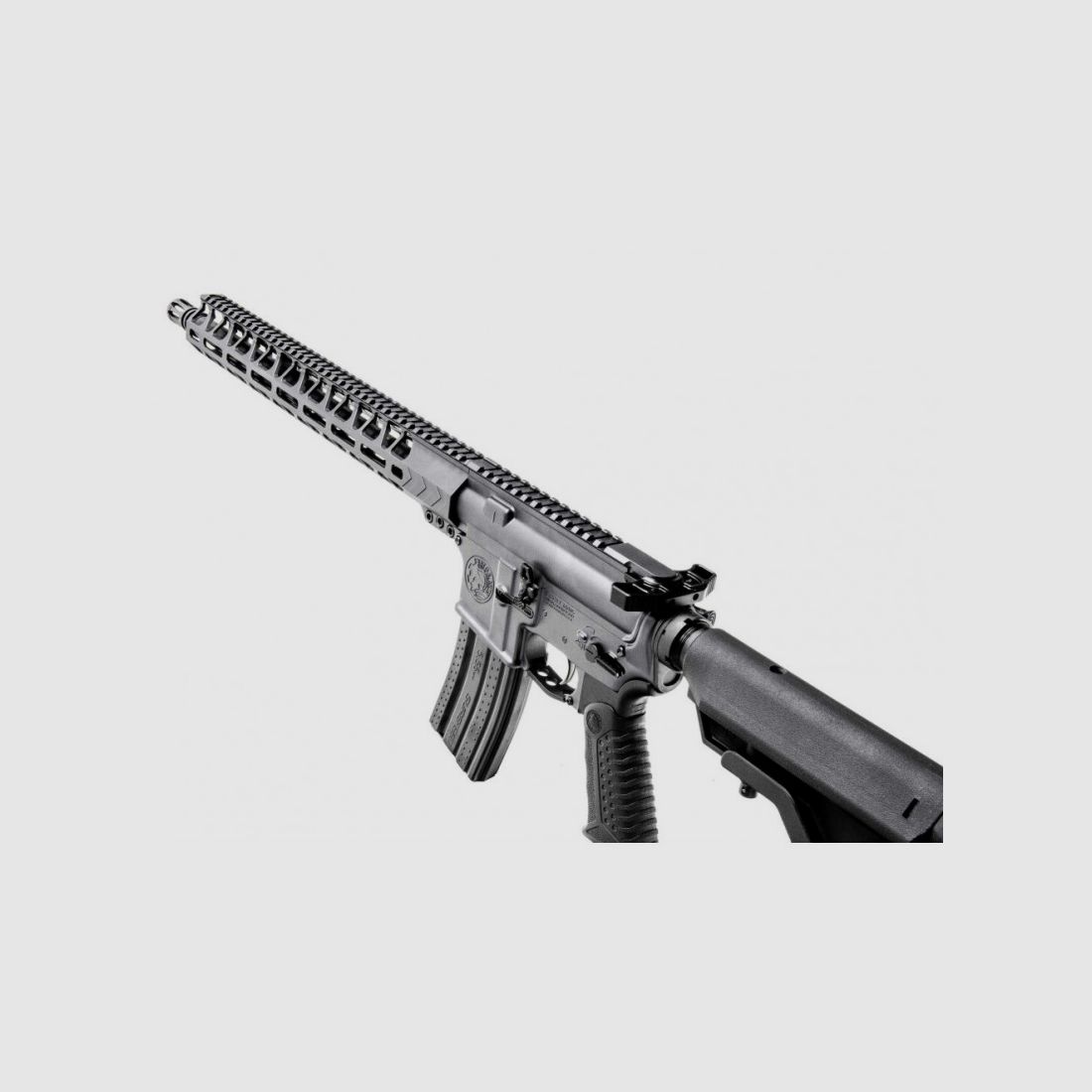 BATTLE ARMS WORKHORSE PATROL 223 REM 16 POUCES, image 2 sur 6
