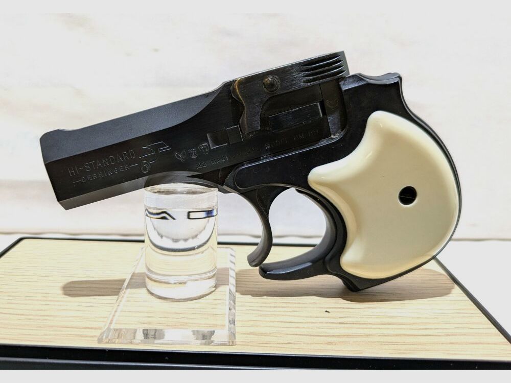 High Standard DM 101