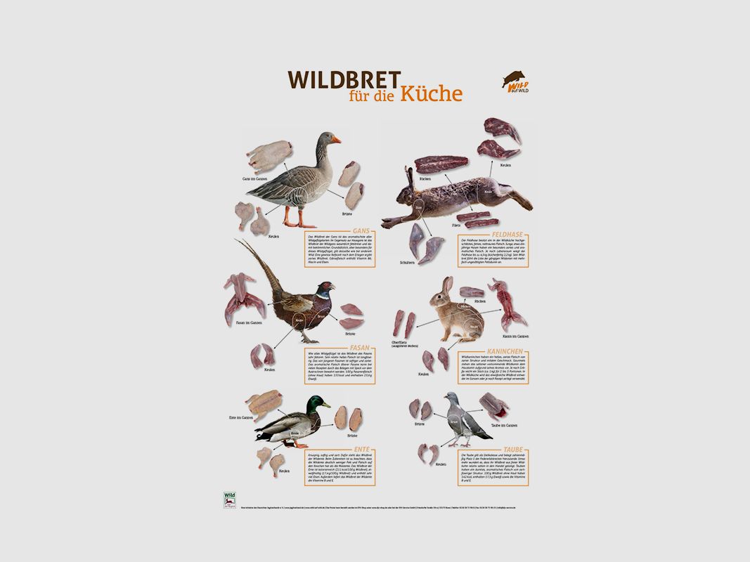 Wildbret-Poster Niederwild PVC