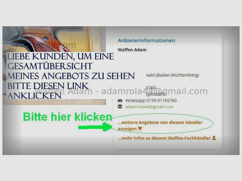 Revólver de ordenanza W+F Bern 29