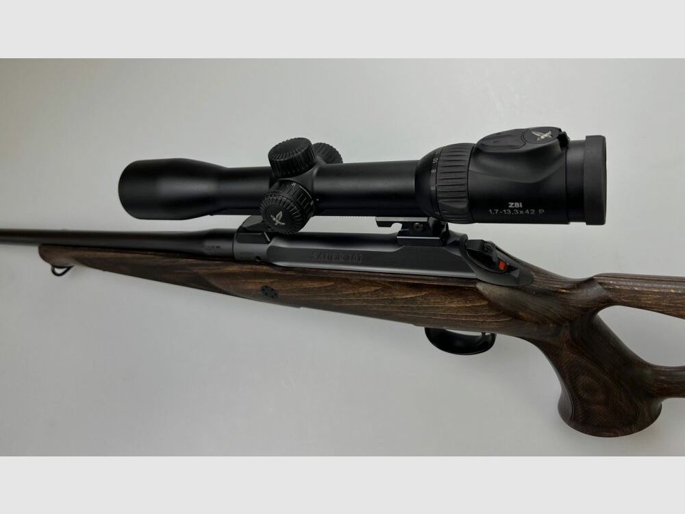 Sauer 101 GTI