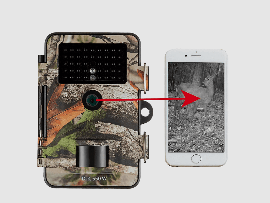 Minox DTC 550 WiFi Camo Kamera myśliwska