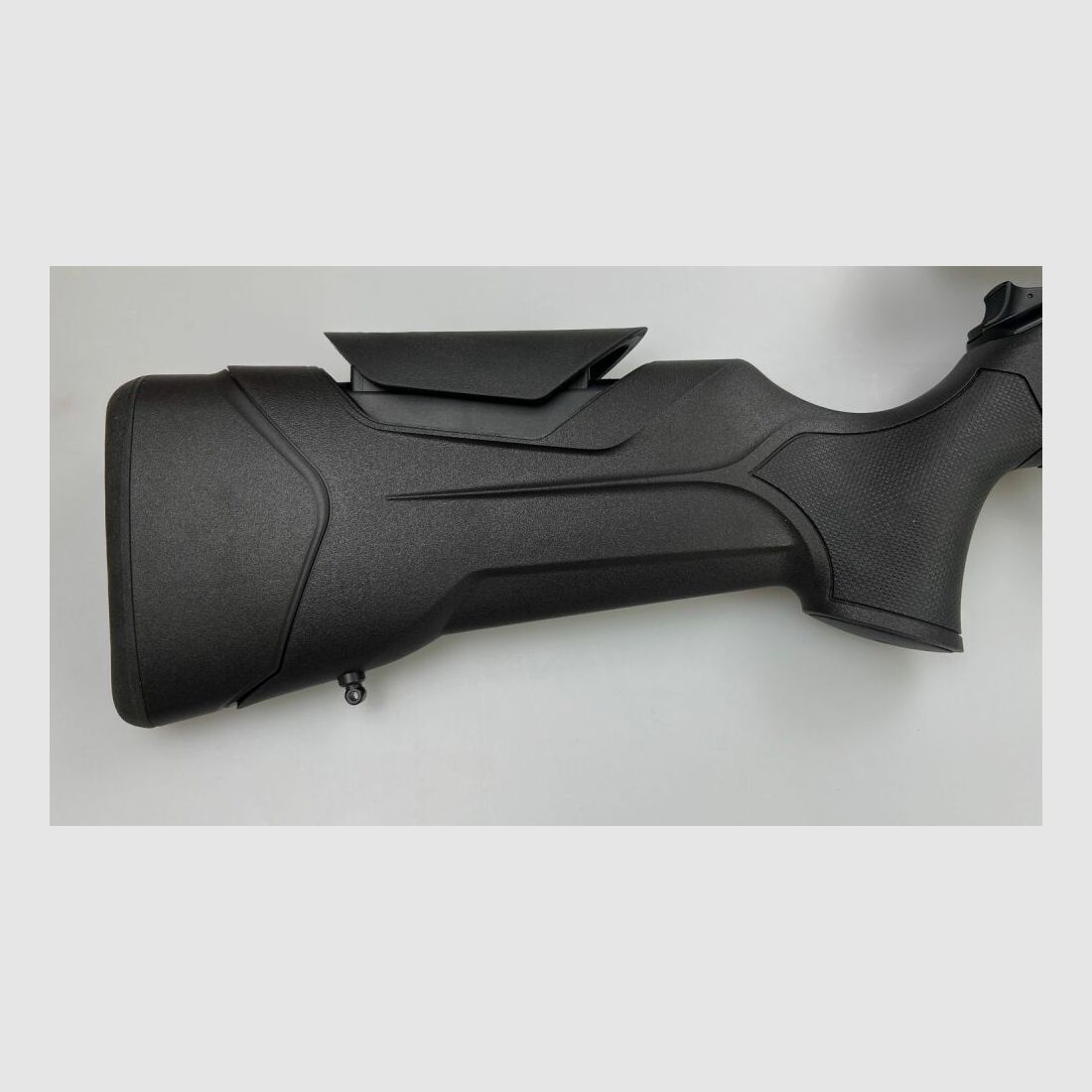 Blaser R8 Professional 2.0
