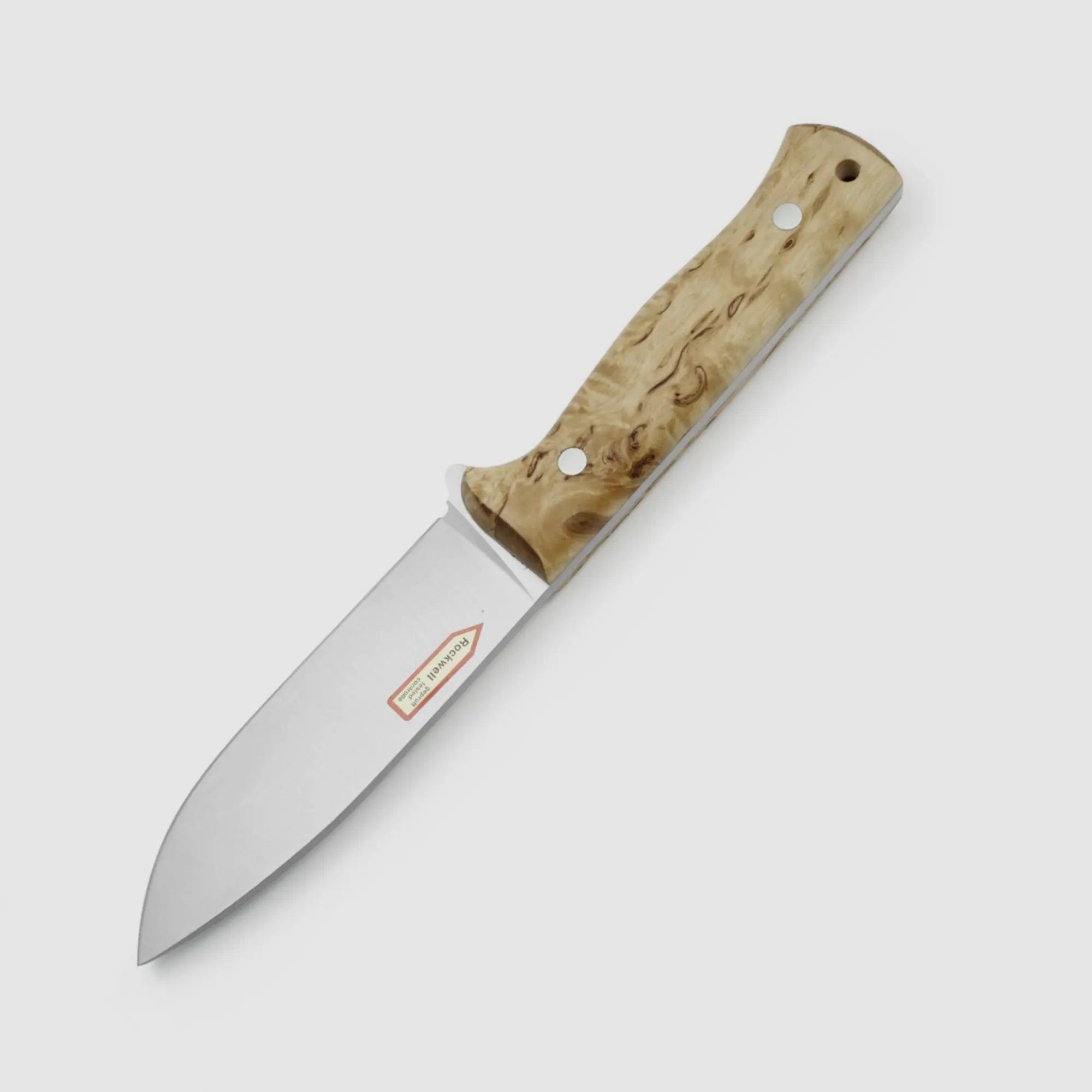PUMA IP castoro