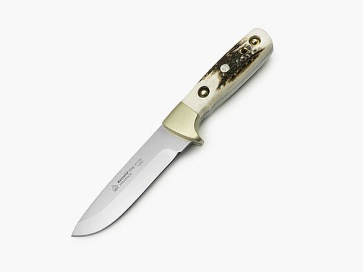 PUMA IP damwild, hert