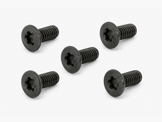 Spuhr M4x10 Tx20 Gen1 Haubenschrauben - 5 Stück
