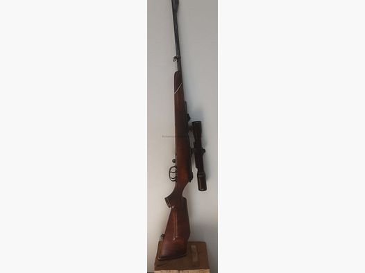 Mauser 66