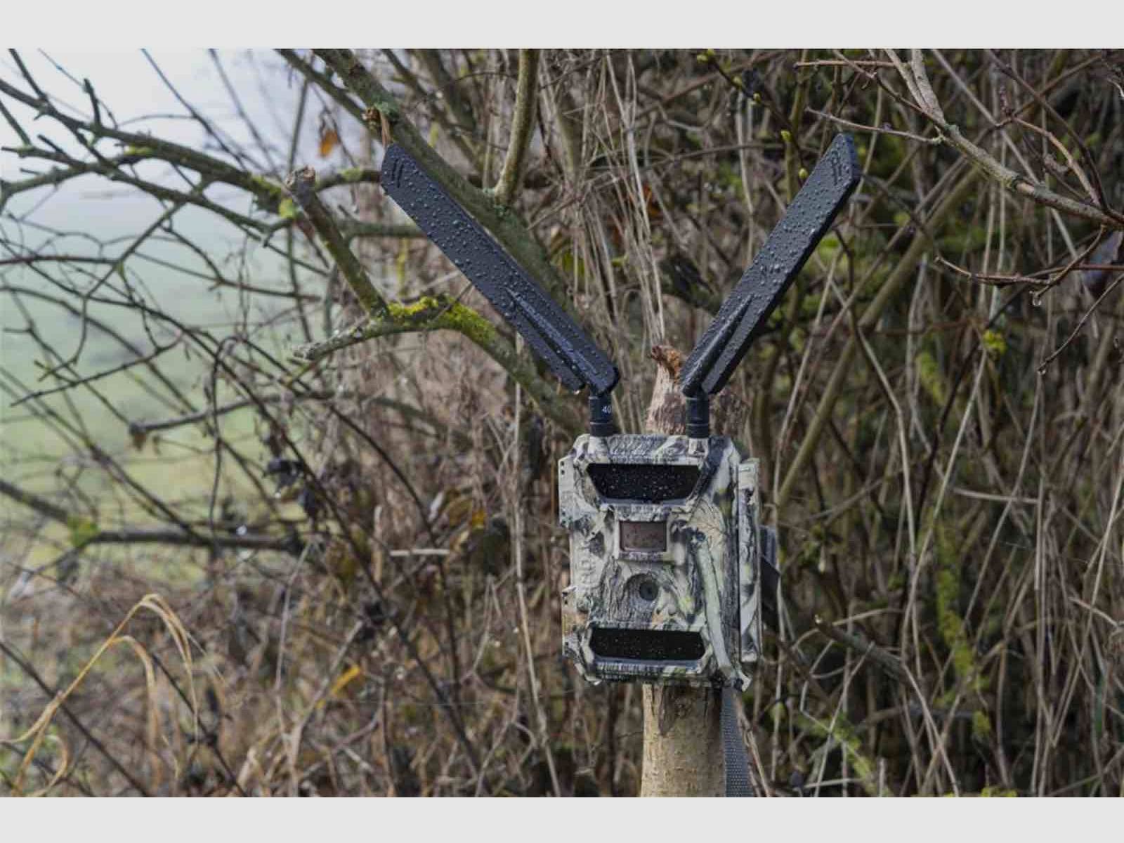 Dörr 204440 Caméra de surveillance et de chasse SnapShot Cloud 4G