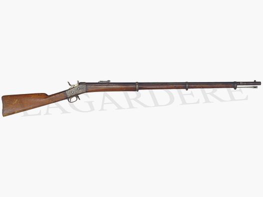 CARL GUSTAF ROLLING BLOCK 1867(FUSIL A POUDRE NOIRE)