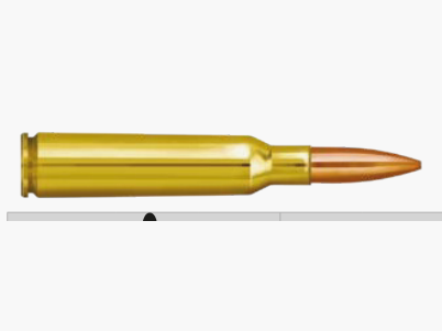 Partizan PPVI 6.5X55 SWEDISH FMJ BT 139g (20)