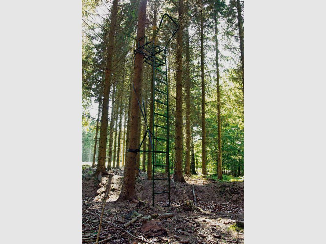Tree Seat Economy, image 2 of 2