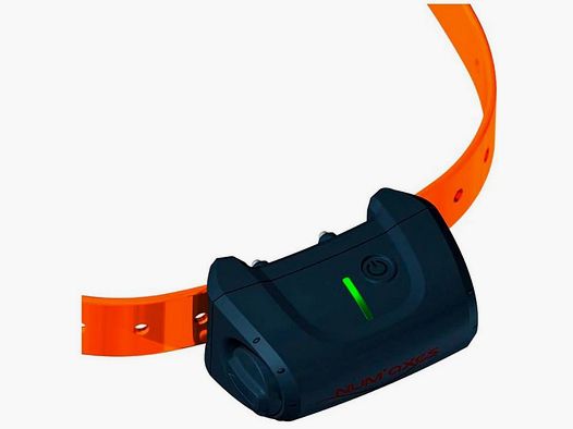 Zusätzliches Halsband Canicom 5 ORANGE