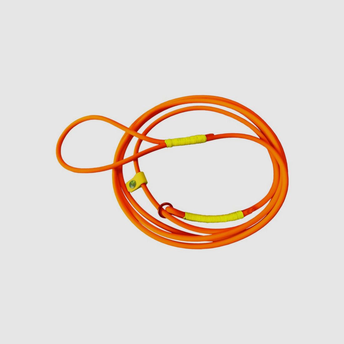 Rundleine mit integriertem Halsband