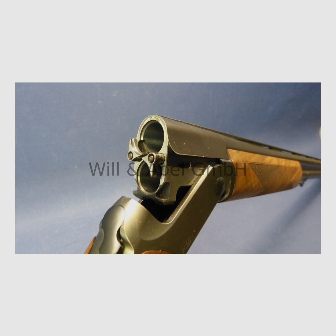 BLASER ISNY F16 GAME