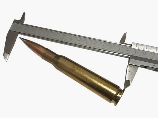 .50 BMG Decommissioning Silvertip – Dummy Round