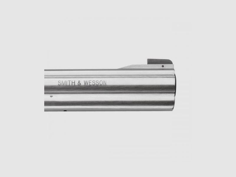 Smith and Wesson 617 .22LR, Bild 5 von 6