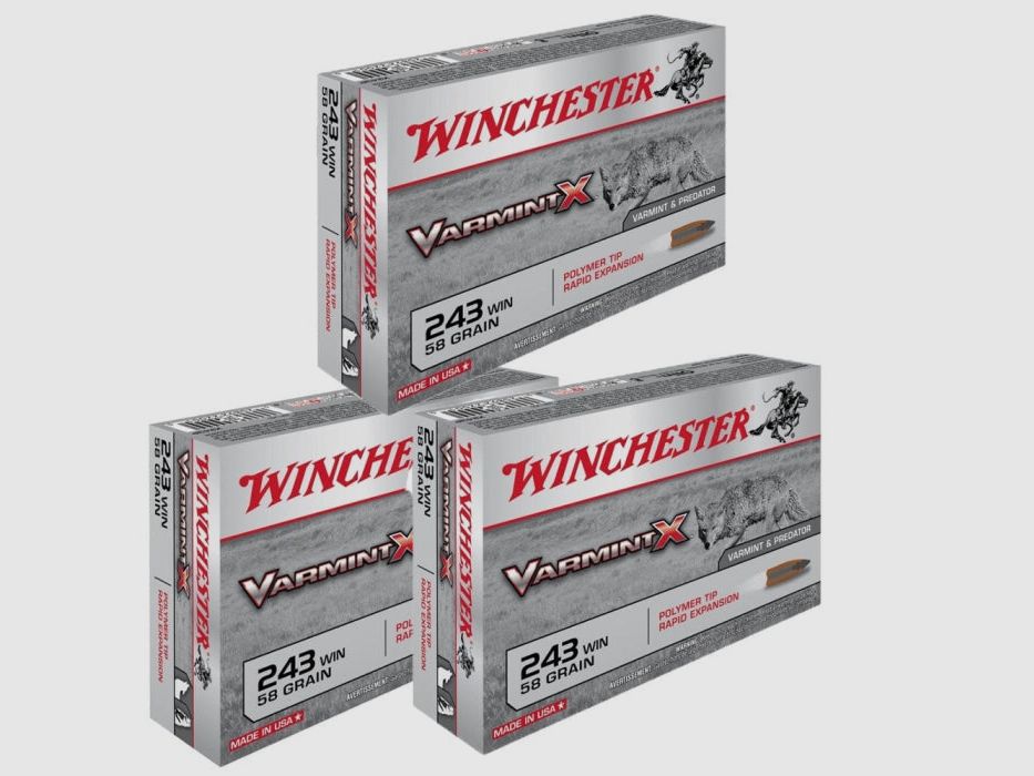 Balles Winchester Varmint X - Cal. 243 Win, image 5 sur 6